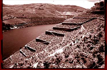 UNESCO Douro